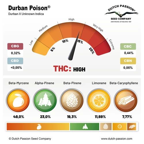 Durban Poison®