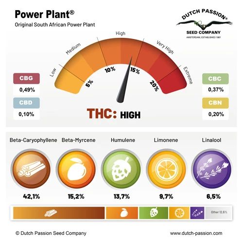 Power Plant®