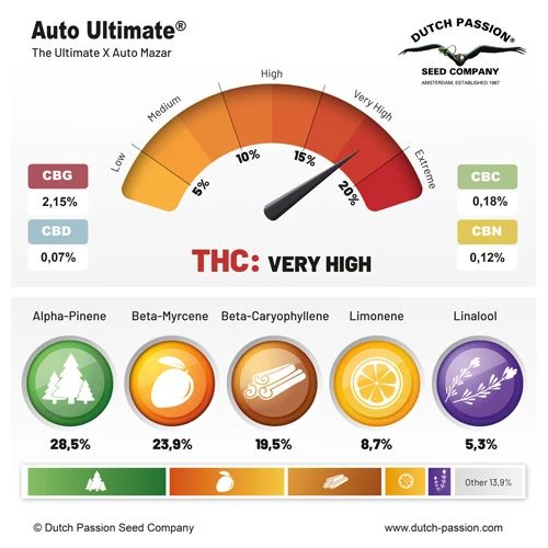 Auto Ultimate®