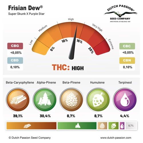 Frisian Dew®